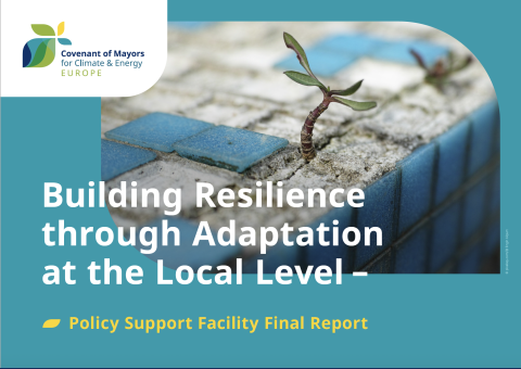 PSF Final Publication